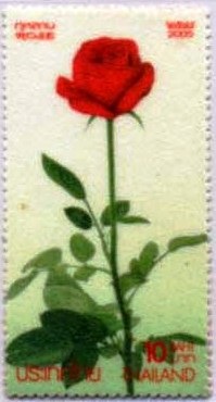[Thailand Rose scented Flox paper[4].jpg]